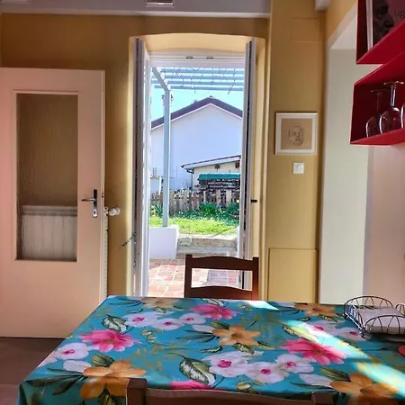 Casazzurra, Su Giardino, Cucina, E Park Adiacente Lägenhet *