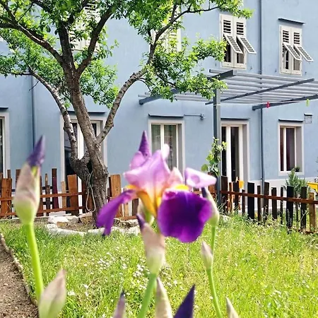 Lägenhet Casazzurra, Su Giardino, Cucina, E Park Adiacente *